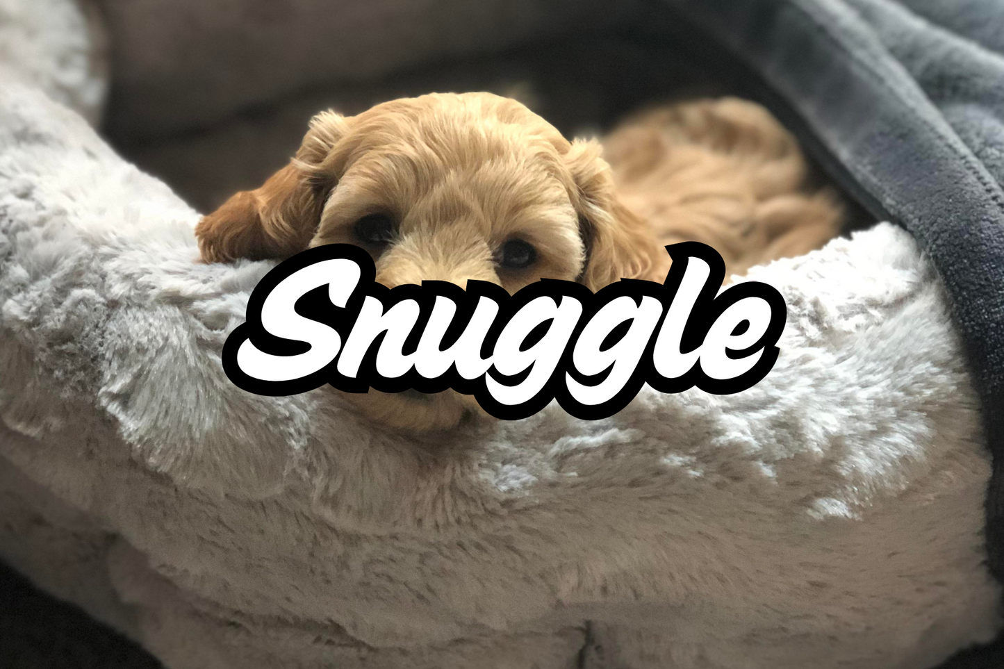 Sacred Smoke by Katz